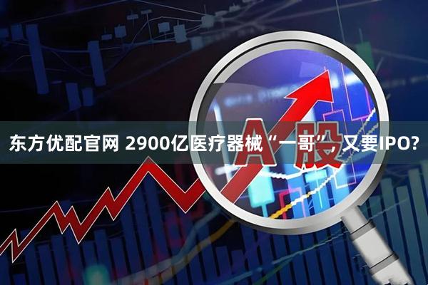 东方优配官网 2900亿医疗器械“一哥”, 又要IPO?