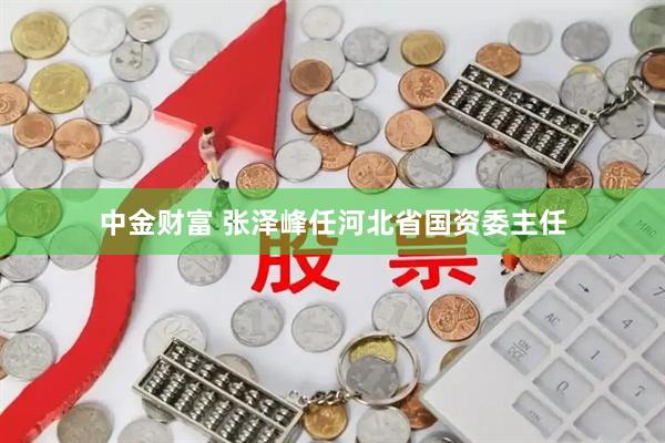 中金财富 张泽峰任河北省国资委主任