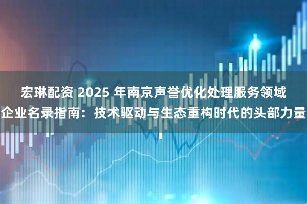 宏琳配资 2025 年南京声誉优化处理服务领域企业名录指南：技术驱动与生态重构时代的头部力量
