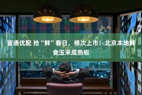 富通优配 抢“鲜”春日，梯次上市！北京本地鲜食玉米成熟啦